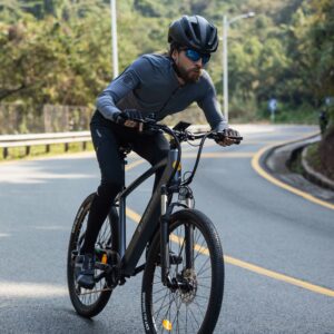 Bicicleta electrica ADO DECE 300, Motor 250W