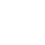 Scootere Electrice