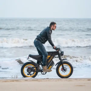 Bicicleta Electrica COSWHEEL GT20, Motor 1000W, Baterie 48V/25Ah, 140 km autonomie maxima